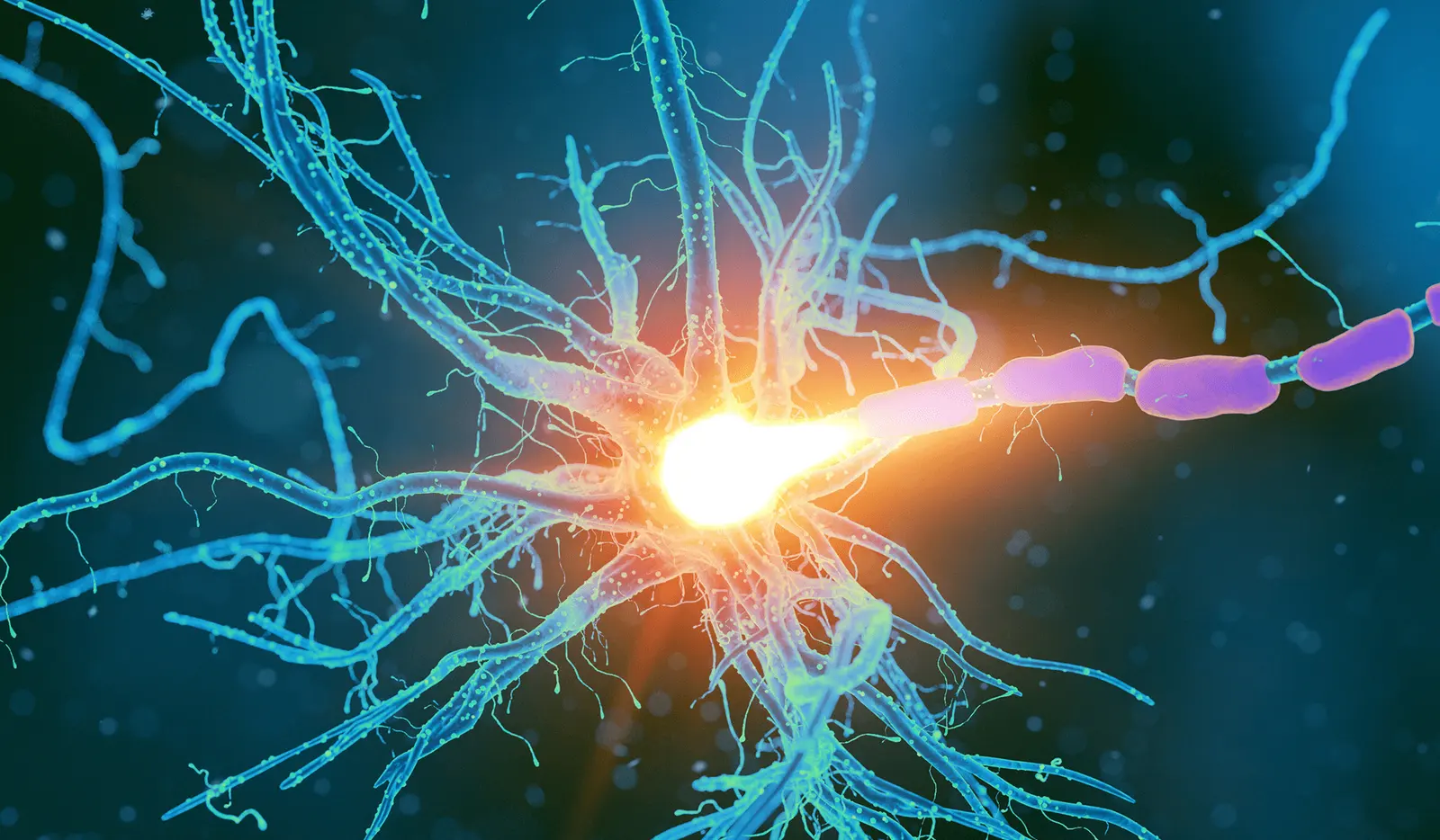 Chiropractic care for nerve damage at Northstar Integrated Health & Physical Medicine Center in Naperville